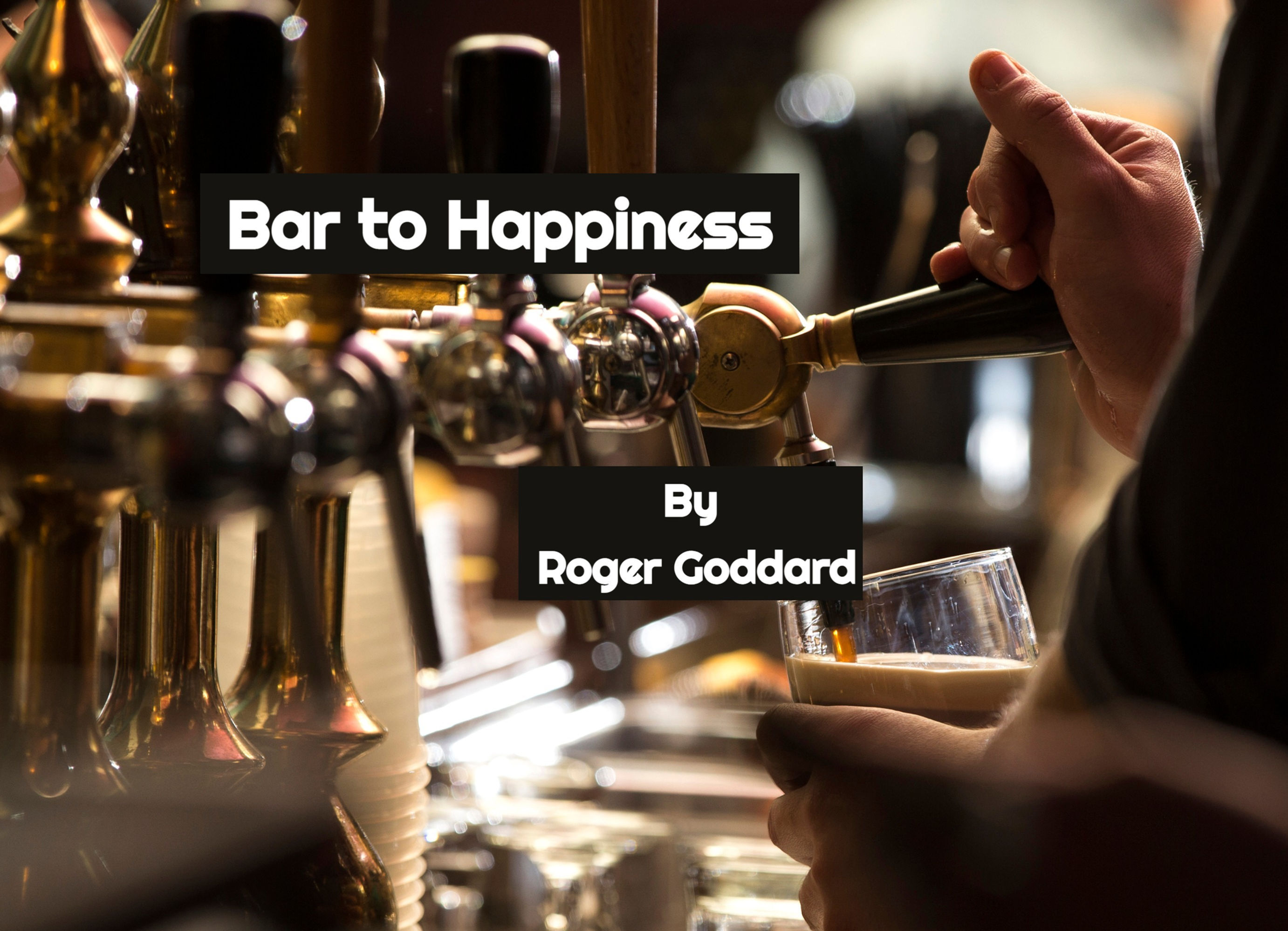 Bar to Happiness by Roger Goddard