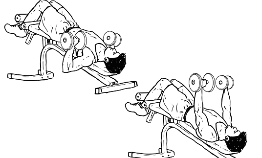 how to build muscle in every part of the chest