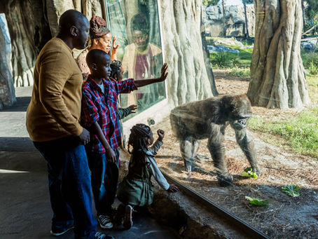 Zoo Volunteer Event & Free Family Day