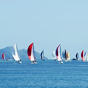 Regatta