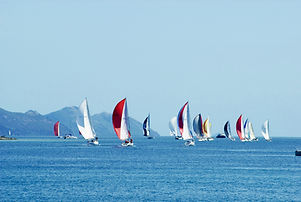 Regatta