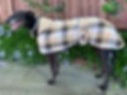 Thumbnail: Elitehound Norfolk Plaid Fleece (One size to fit all Greyhounds)