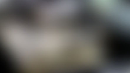 Audi R8 실내 컬러커스텀 Car interior color custom