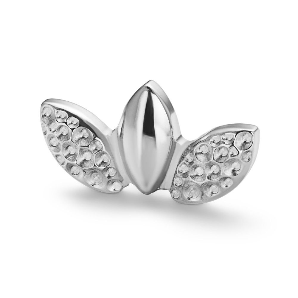 Titano viršūnėlė