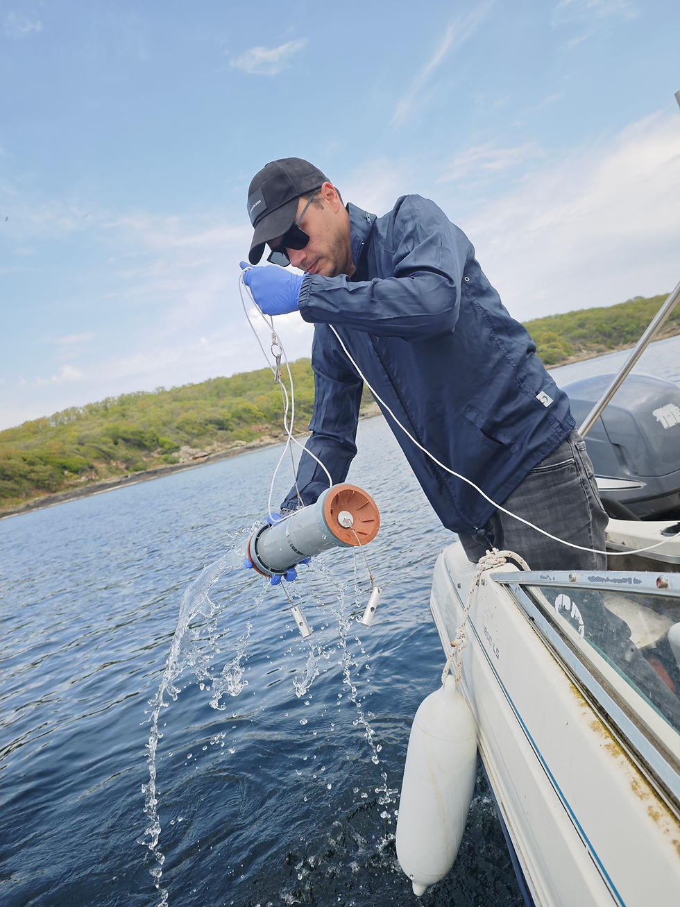 SturNet sampling in the Black Sea