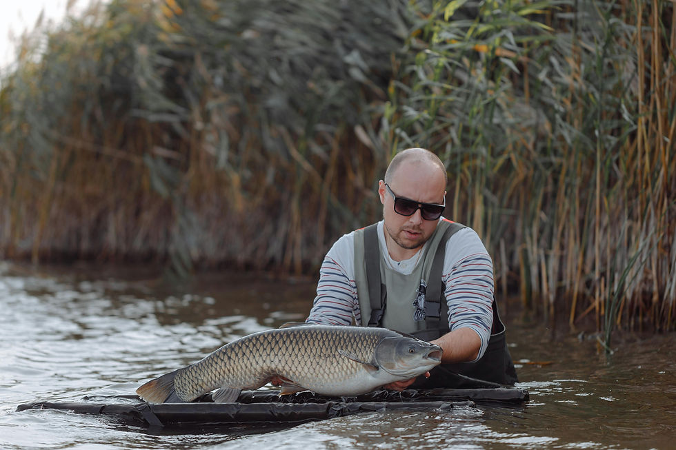 A man holding a fish in a river; fisherman, angler