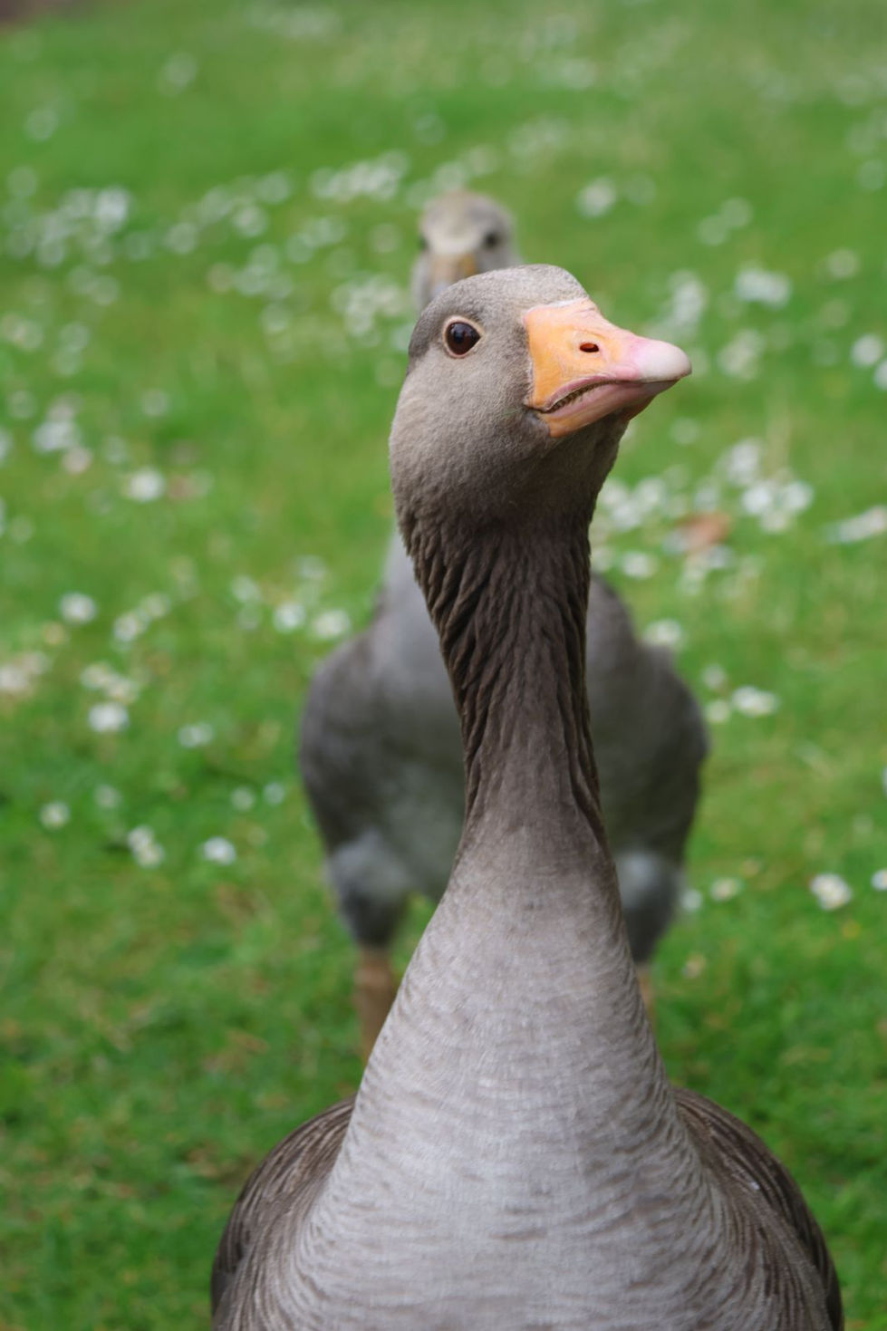 WhatsApp Image 2025-01-06 at 17.31.49.jpg