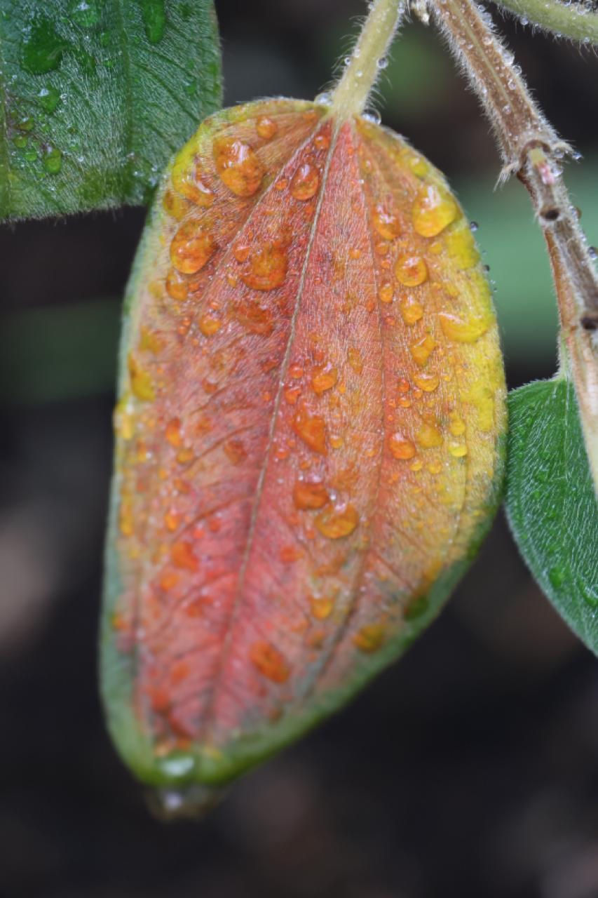 WhatsApp Image 2025-01-06 at 17.23.58.jpg