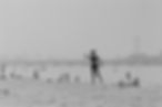 Frisbee Toss