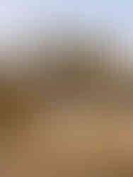 Puerto Escondido, Mexique