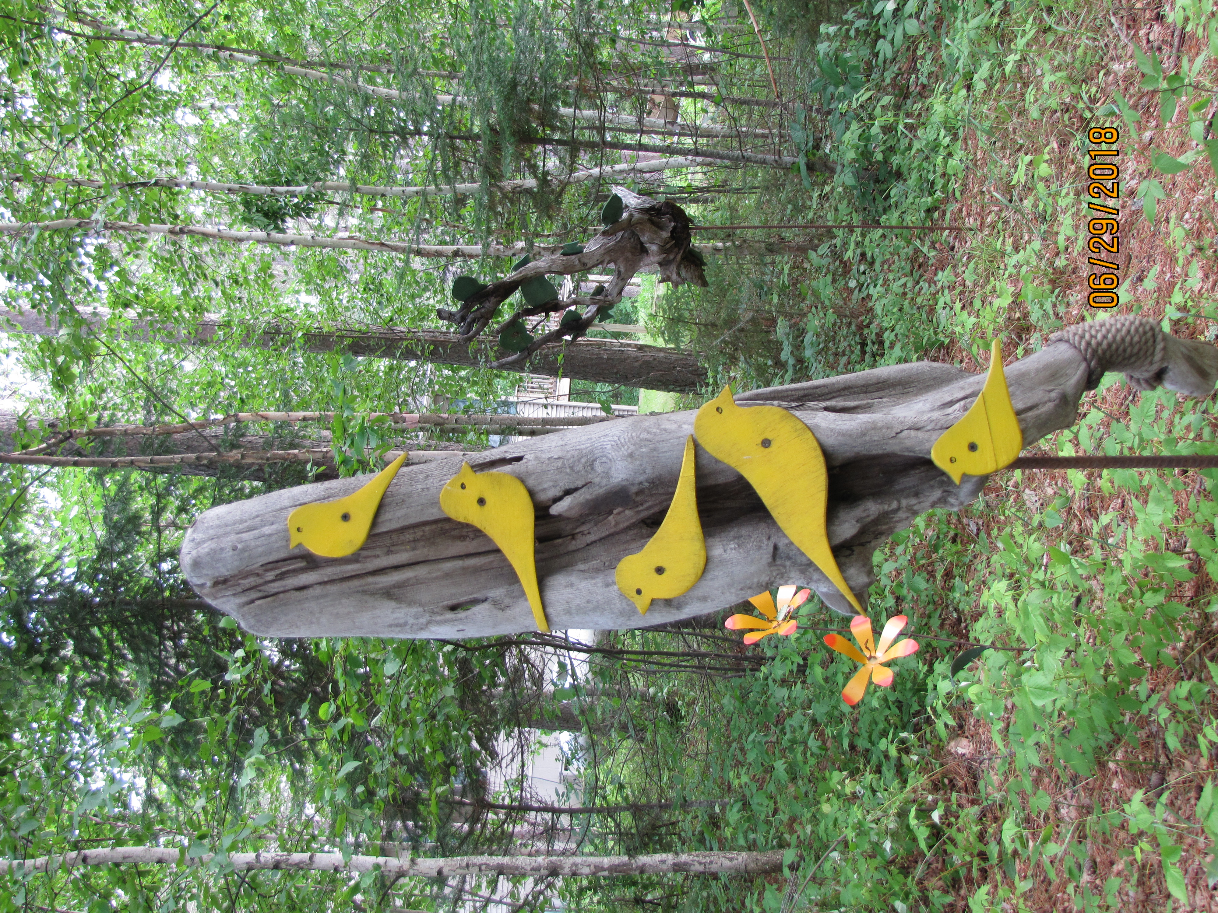 a unique in the woods art garden