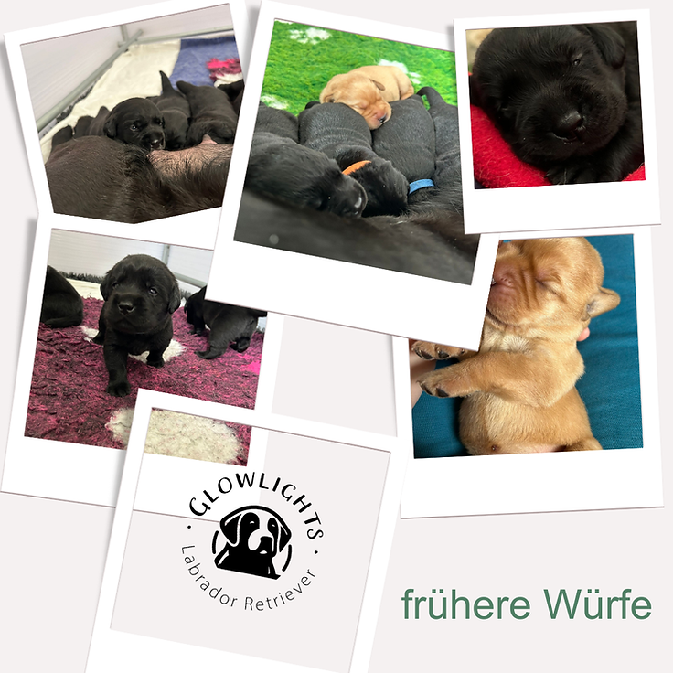 Green Organic Collage Summer Instagram Post (2).png