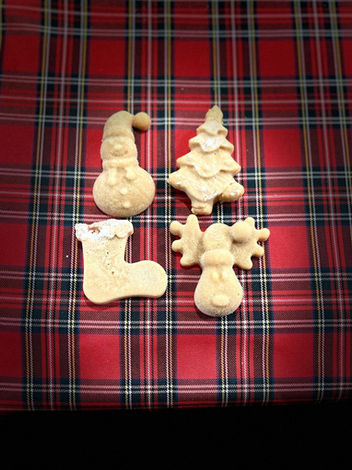 Large Scottish tablet pieces in festive shapes, finished with coconut snow and displayed on a tartan tablecloth.