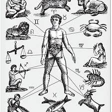 Affectivity of Objects and Affordances, Neo-Platonism, and Objective Utility -- Plausibility of Panpsychism