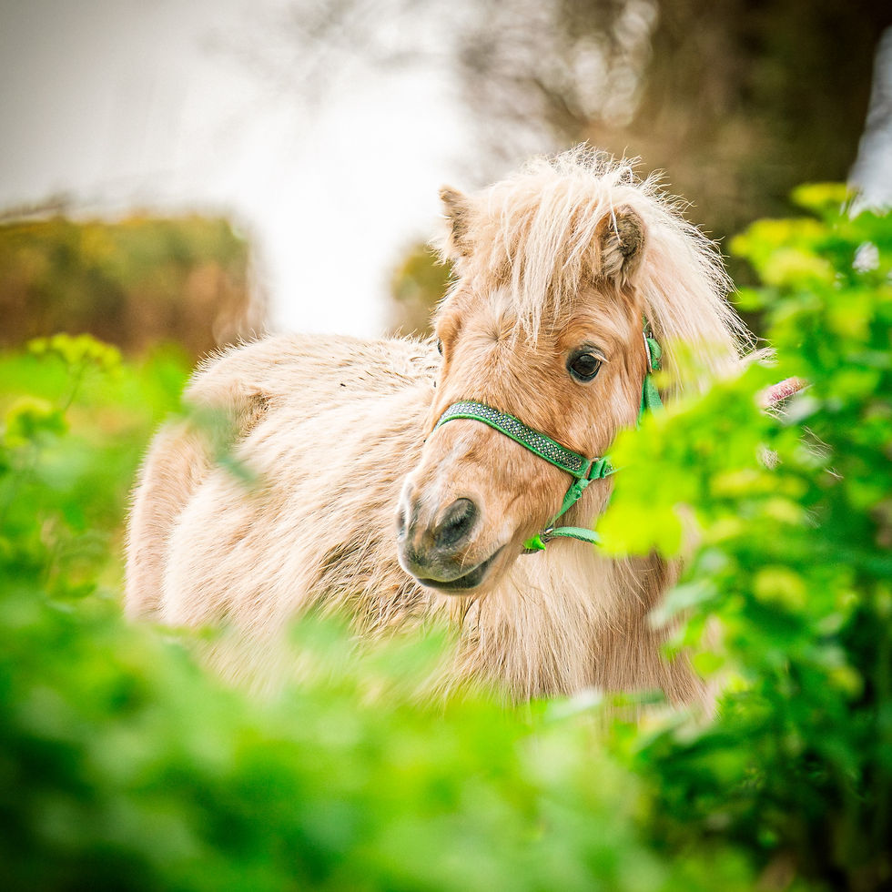 Thumbnail: Greetings Cards