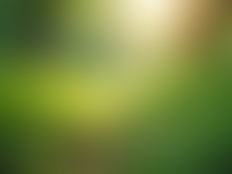 Unlocking Opportunities: The Untold Impact of Personal Branding on Success