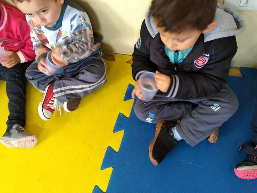 Infantil I A - Projeto sensações