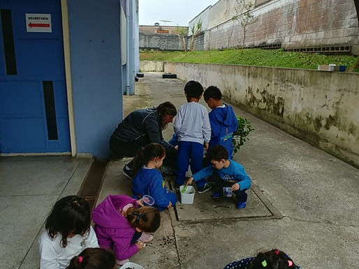Inf III B - Plantio do Girassol