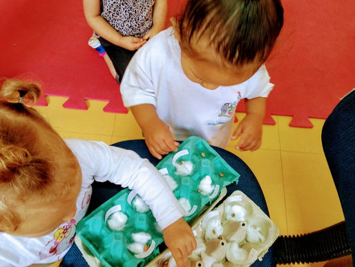 Infantil I A - Plantio de feijão na caixa de ovos
