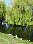 DSC05444.JPG