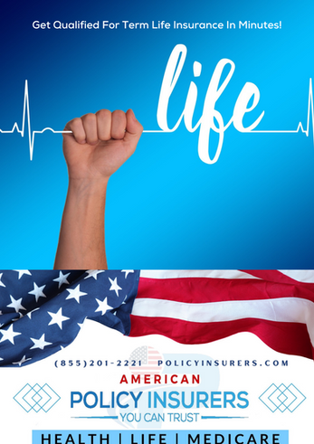 Term life insurance quote in minutes _ american policy insurers .PNG