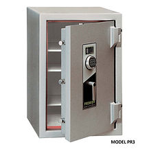 picture of Premier TDR safe
