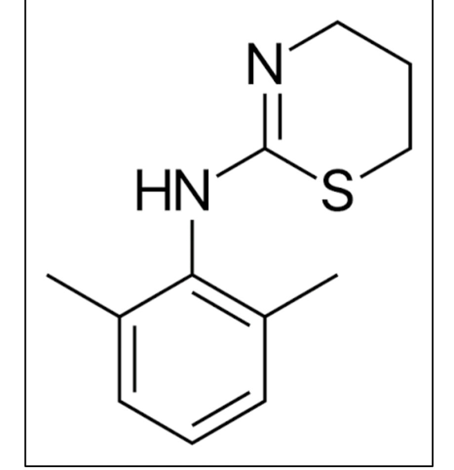 Xylazine Addiction: A Scientific Snapshot Behind the "Zombie Drug”