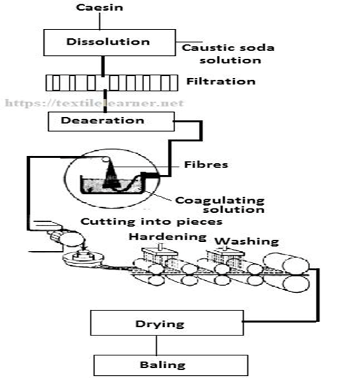 Fig 2. Conventional method of production of milk fibers from casein.