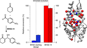 Scientists engineer an enzyme to speed up a slow organic reaction