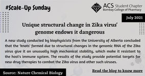 The unique structural changes in Zika virus' genome that make it highly dangerous