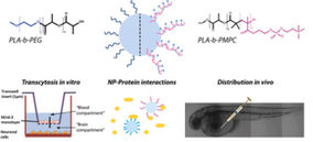 Polymer-coated nanoparticles to promote drug delivery to the brain for neurodegenrative disorders