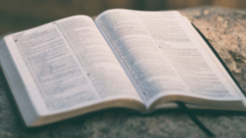 bible01-2000x1000ish.png