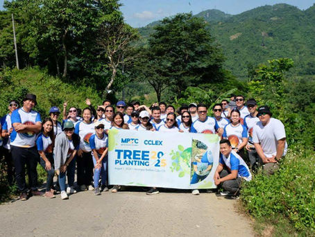 CCLEC holds tree-planting activity