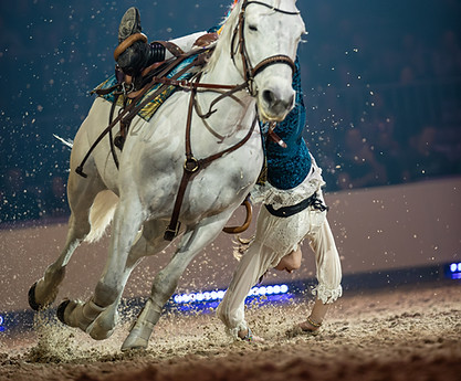 _MG_8616-Avec accentuation-Bruit.jpg