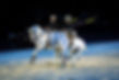 060A7014-Avec accentuation-Bruit.jpg