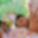 Consultation + Guidance + Blood Tests +Beauty + Psychology