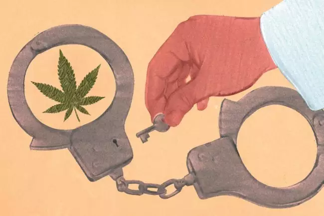 cannabis-for-medicinal-use-14-650x433.webp