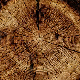 Blockhouse Series_edited.jpg