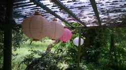 Beleuchtung fürs Gartenfest