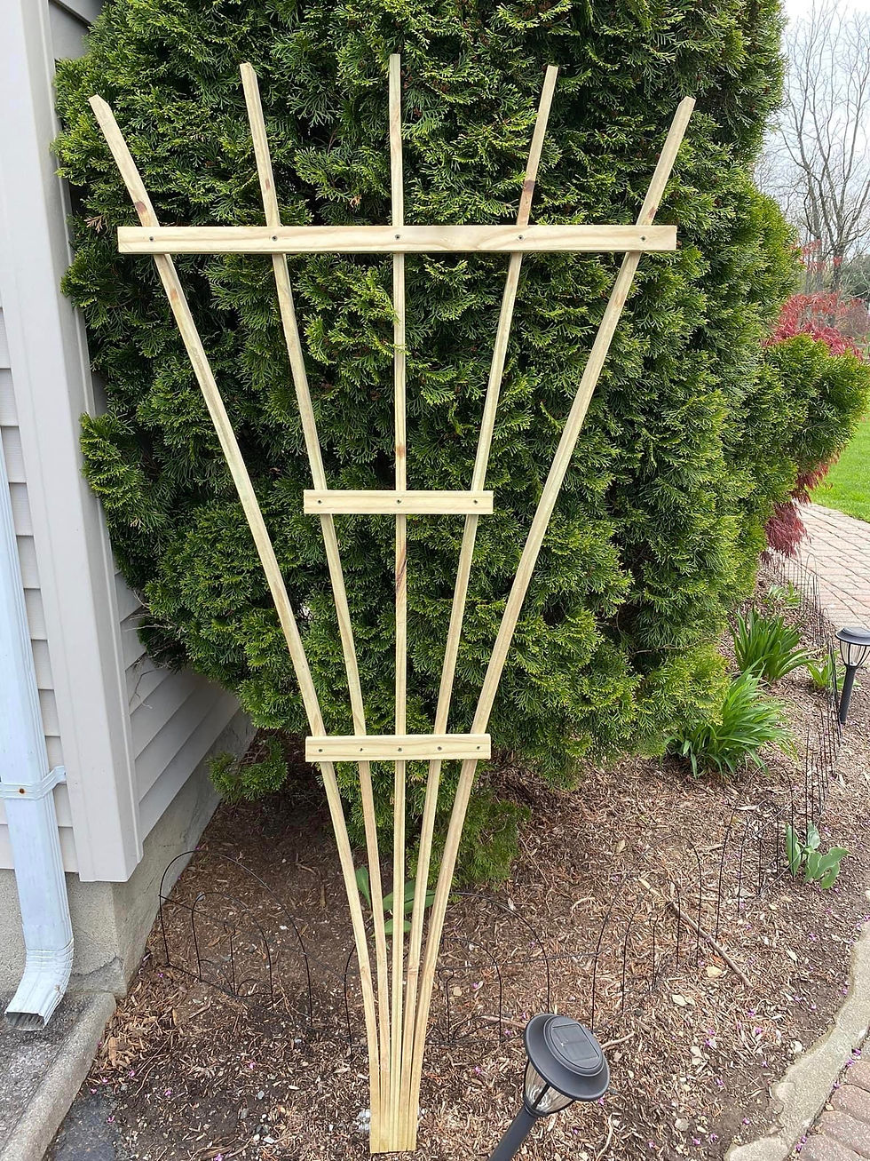 Trellis