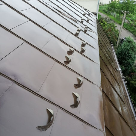 Фарбування металевих дахів : ціна у Львові