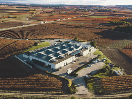 10 razones para hacer enoturismo