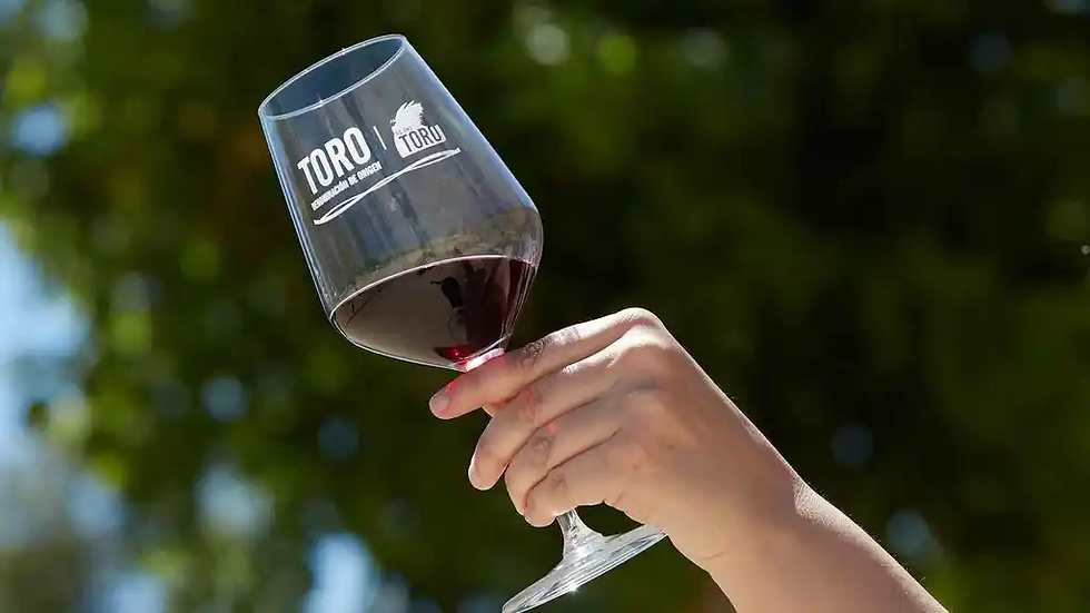 Vino D.O. Toro