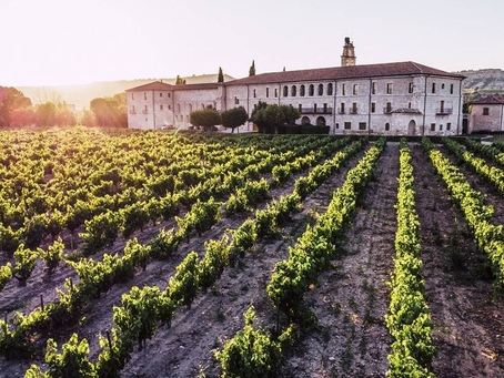 Vinos D.O. Ribera del Duero