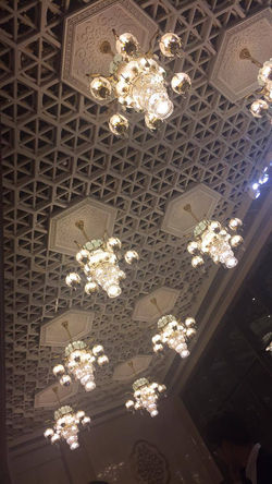 15966680_1234795149920792_922114245_o