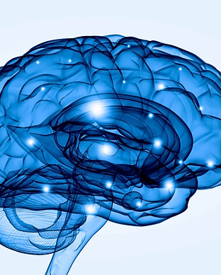 neurofeedback.jpeg