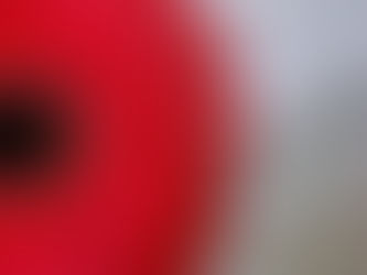 Los misterios de la vida