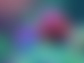 Elevar la vibración