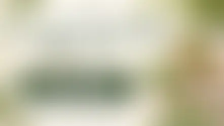 よもぎ蒸しを見て、座って、体感！ビューティーワールド大阪に出展します！