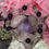 Thumbnail: Memory Crystal Bracelets